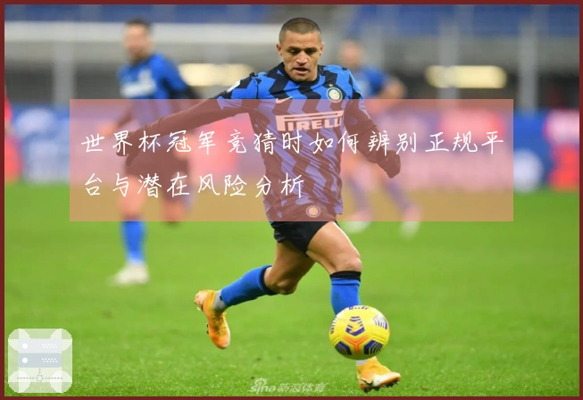 世界杯冠军竞猜时如何辨别正规平台与潜在风险分析