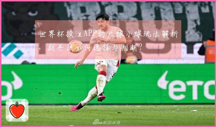 世界杯投注APP的大球小球玩法解析，新手该如何选择与判断？
