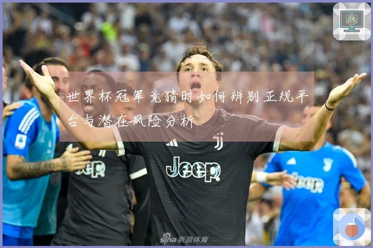 世界杯冠军竞猜时如何辨别正规平台与潜在风险分析