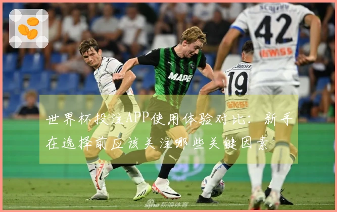世界杯投注APP使用体验对比：新手在选择前应该关注哪些关键因素