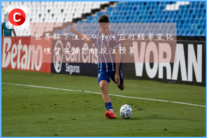 世界杯下注入口如何应对赔率变化，理智安排您的投注预算