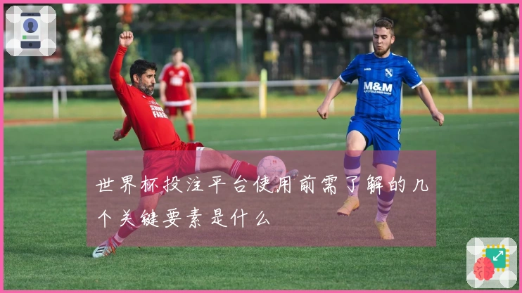 世界杯投注平台使用前需了解的几个关键要素是什么