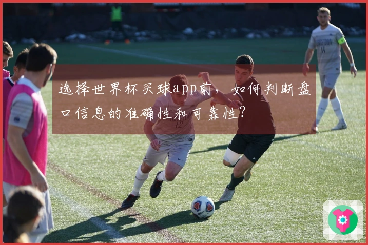 选择世界杯买球app前，如何判断盘口信息的准确性和可靠性？