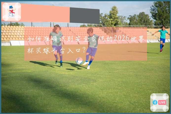 如何准确识别安全合规的2026世界杯买球平台入口？