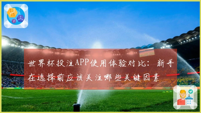 世界杯投注APP使用体验对比：新手在选择前应该关注哪些关键因素
