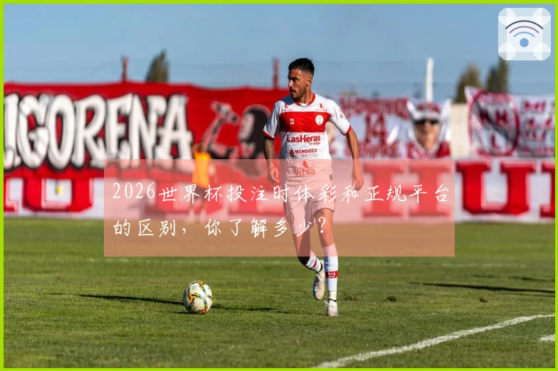 2026世界杯投注时体彩和正规平台的区别，你了解多少？