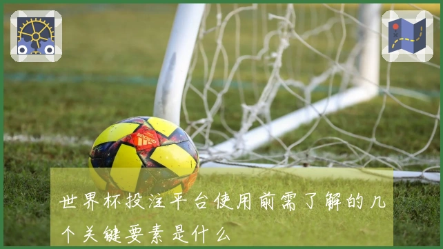世界杯投注平台使用前需了解的几个关键要素是什么