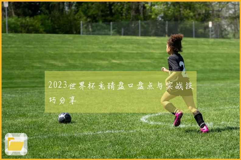 2023世界杯竞猜盘口盘点与实战技巧分享