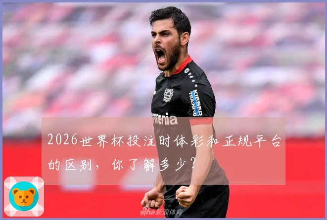 2026世界杯投注时体彩和正规平台的区别，你了解多少？