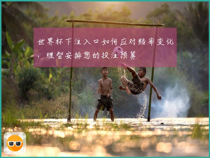 世界杯下注入口如何应对赔率变化，理智安排您的投注预算